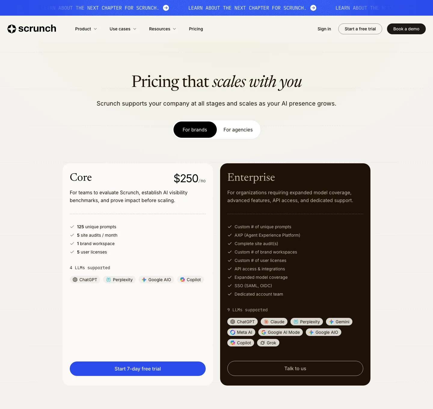 Scrunch AI's pricing page (captured July 2026): the Core plan at $250/mo and a custom Enterprise plan.